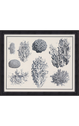Črno-bele koralne gravure s črnim okvirjem- 55 x 45 cm - Model 3