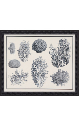 Gravure de coraux en noir et blanc avec cadre noir - 55 x 45 cm - Modèle 3