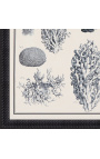 Svarte og kvite korallgraveringar med svart ramme- 55 x 45 cm - Modell 3