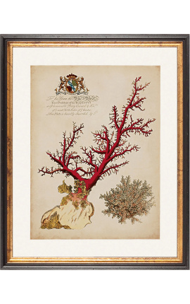 Incisione reale rettangolare in colore corallo - Modello 4 - 50 cm x 40 cm