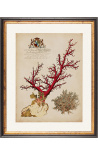Gravura retangular real em cor de coral - Modelo 4 - 50 cm x 40 cm