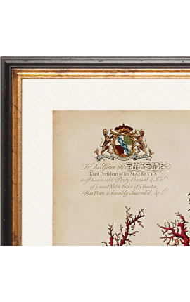 Royal Rectangular engraving in coral color - Model 4 - 50 cm x 40 cm