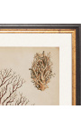 Gravure Royale rectangulaire en couleur de coraux - Modèle 3 - 50 cm x 40 cm