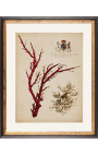Королевская прямоугольная гравировка в коралловом цвете - Модель 2 - 50 cm x 40 cm