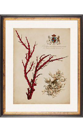 Gravure Royale rectangulaire en couleur de coraux - Modèle 2 - 50 cm x 40 cm