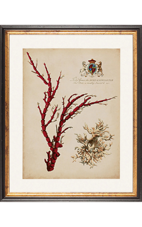 Royal Rectangular engraving in coral color - Model 2 - 50 cm x 40 cm
