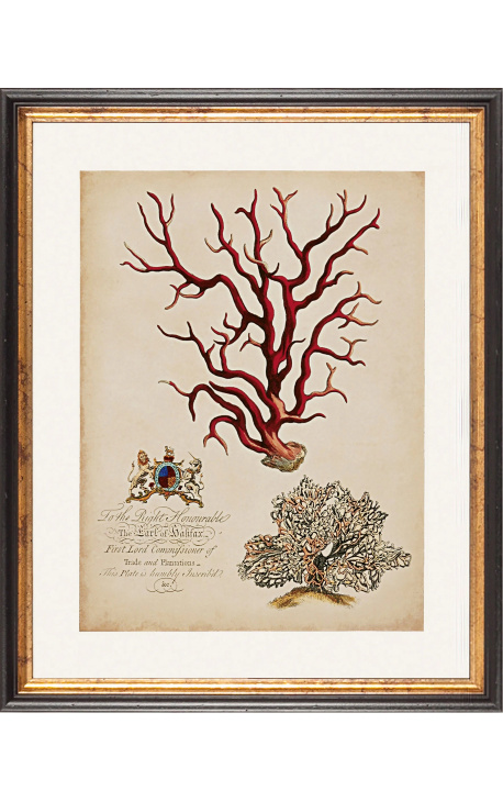Gravure Royale rectangulaire en couleur de coraux - Modèle 1 - 50 cm x 40 cm