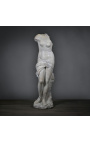 Grote sculptuur "Gedrukt Venus" - 120 cm