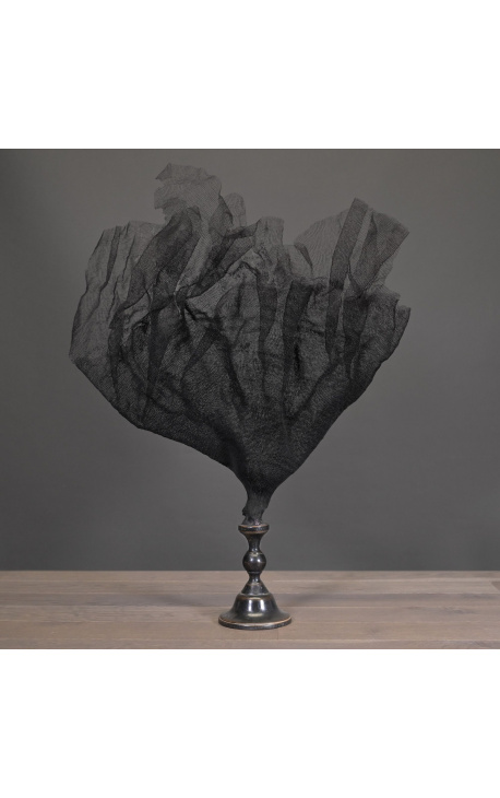 Très grande gorgone filet noire (corail) sur balustre en bois