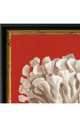 Gravura quadrada de um coral com moldura preta e dourada 30 x 30 - Modelo 1