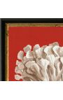 Square engraving of a coral with black and golden frame 30 x 30 - Model 1