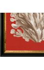 Square engraving of a coral with black and golden frame 30 x 30 - Model 1