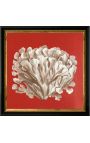Square engraving of a coral with black and golden frame 30 x 30 - Model 1