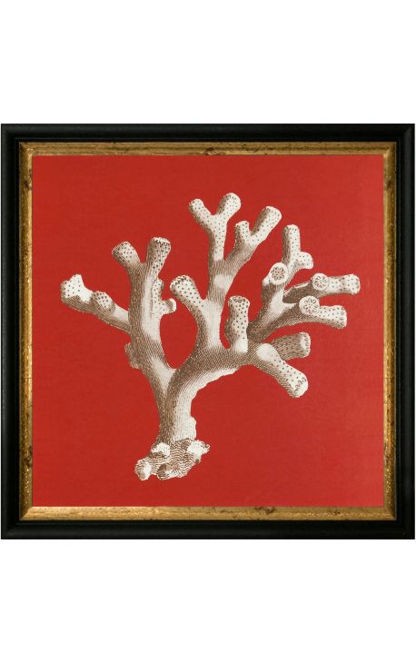 Square engraving of a coral with black and golden frame 30 x 30 - Model 2