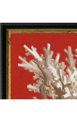 Neliömäinen kaiverrus korallista mustalla ja kultaisella kehyksellä 30 x 30 - Malli 3