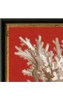 Square engraving of a coral with black and golden frame 30 x 30 - Model 3