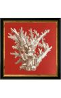 Square engraving of a coral with black and golden frame 30 x 30 - Model 3