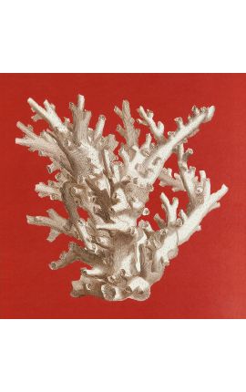 Rzeźba kwadratowa koralu z czarno-złotą ramą 30 x 30 - Model 3