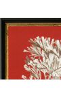Square engraving of a coral with black and golden frame 30 x 30 - Model 4