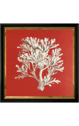 Square engraving of a coral with black and golden frame 30 x 30 - Model 4