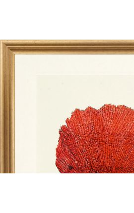 Incisione rettangolare con corallo e cornice dorata - 50 cm x 40 cm - Modello 1
