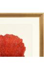 Rectangular engraving with coral and golden frame - 50 cm x 40 cm - Model 1