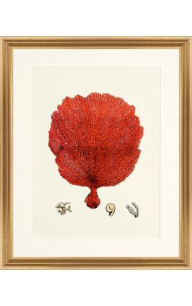 Rectangular engraving with coral and golden frame - 50 cm x 40 cm - Model 1