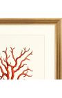 Rectangular engraving with coral and golden frame - 50 cm x 40 cm - Model 2