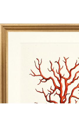 Rectangular engraving with coral and golden frame - 50 cm x 40 cm - Model 2