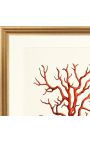 Rectangular engraving with coral and golden frame - 50 cm x 40 cm - Model 2