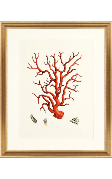 Rectangular engraving with coral and golden frame - 50 cm x 40 cm - Model 2