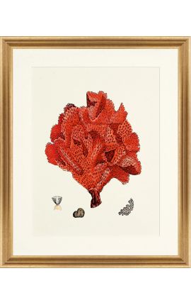 Rectangular engraving with coral and golden frame - 50 cm x 40 cm - Model 3