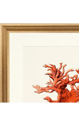 Grabado rectangular con coral y marco dorado - 50 cm x 40 cm - Modelo 4