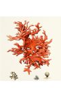 Ορθογώνια χαρακτική με κοράλλιο και χρυσό πλαίσιο - 50 cm x 40 cm - Μοντέλο 4