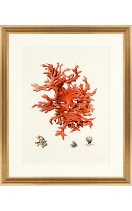 Oikeakulmainen kaivertaus korallilla ja kultaisella kehyksellä - 50 cm x 40 cm - Malli neljä