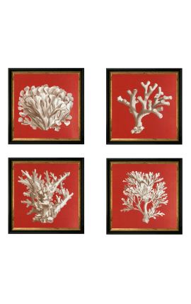 Gravura quadrada de um coral com quadro preto e dourado 30 x 30 - Modelo 3