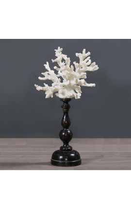 Coral montado em pedestal de madeira