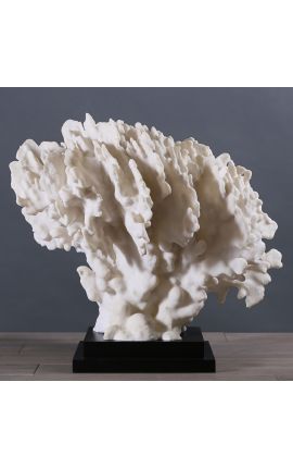 Coral Stylophora Pistillata gegant blanca muntada sobre base de fusta