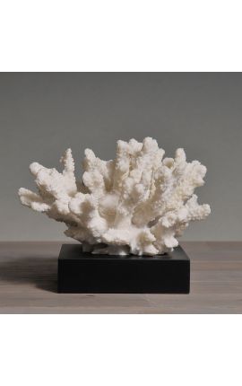 Corail monté sur socle en bois "Acropora Florida" - Modèle 1