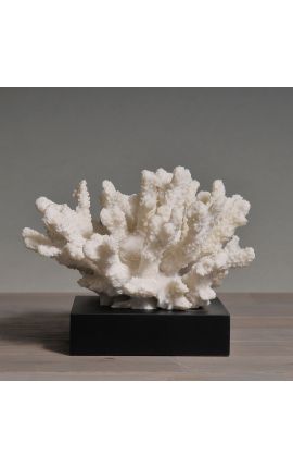 Koral zamontowany na drewnianej podstawie "Acropora Florida" - Model 1