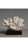 Coral montado em uma base de madeira