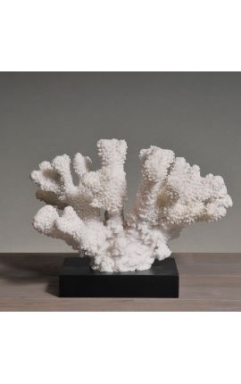 Corail monté sur socle en bois "Acropora Florida" - Modèle 2