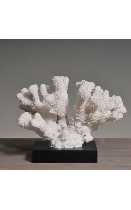 Didelis koralas, sumontuotas ant medinio pagrindo