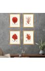 Rectangular graving with coral and arany keret - 50 cm x 40 cm - Model 1