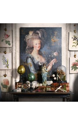 Imagini de portret &quot;Maria-Antoinette, Regina Franței&quot; - Etichetă: Elisabeth Vigee Le Brun