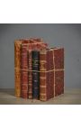 Lote de 5 libros antiguos del siglo XIX - Lote 1