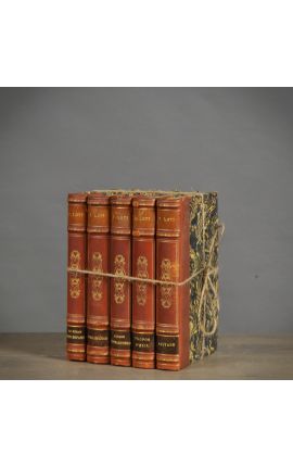 Conjunto de 5 libros marrones antiguos del siglo XVIII