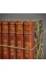 Conjunto de 5 antiguos libros marrones del siglo XIX