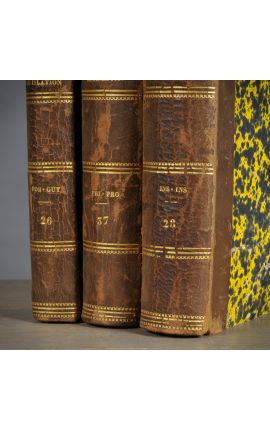 Conjunt de 3 llibres de color vermell marró del segle XIX