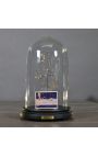 Cupola de sticlă de la Zodiac (Pestii) cu o lățime de maximum 10 mm